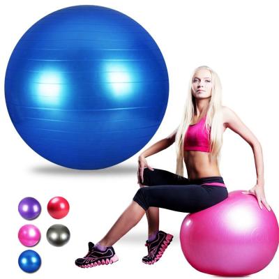 China Swiss Pvc Balance Trainer Oem Logo Exercise Gym Burst Round Custom Stability Balance Trainer for sale