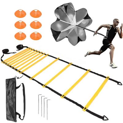 China Sports Safety Wholesale Speed ​​Ladder Adjustable Training Agility Ladder With Carry Bag Black for sale