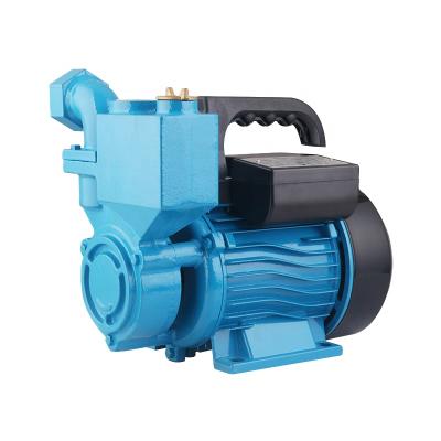 China 0.75HP Water Supply Pump Peripheral Plant Cultivation Propeller Automatic Centrifugal Water Pump for sale