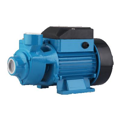 China Water Supply STRATEGY 60 70 80 Series 1hp Vortex 2 Hp Surface Water Booster Irrigation Pump for sale