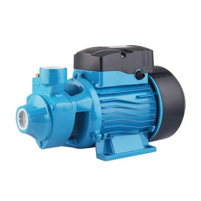 China Water Supply 1 Inch 0.5 HP Household Garden Small Plastic Head Peripheral Electric Vortex Water Pump for sale