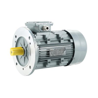 China 220v High Torque Low Rpm Small Totally Enclosed Mini Electric Motor Three Phase for sale