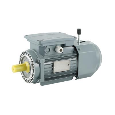 China Wholesale Price 0.15kW-45kW Electromagnetic Brake Water Pump Totally Enclosed Three Phase Asynchronous Electric Motor for sale