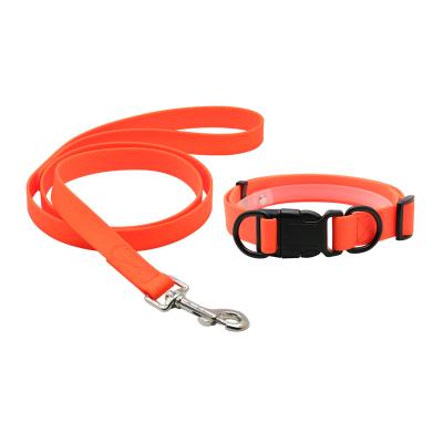 China Modern and contemporary pet product DETACHED collars and leash made in PVC coated webbing for sale for sale