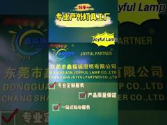 why can Joyful Lamp be trusted by over one hundred client?