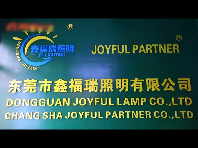 Company Introduction with Professional technology R&D and sales team