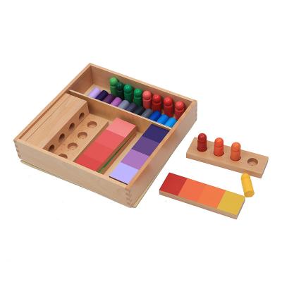 China Eco-friendly material kindergarten and Montessori preschool educational hot sale materials wooden educational toys color likeness matching task for sale