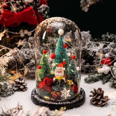 China Ammy Christmas Tree Decoration Glass Cover Window Shooting Cedar Props High Borosilicate Glass Cover 2021 Flower Everlasting New for sale