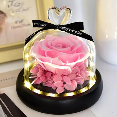 China Natural Weddings Decoration Ammy Flower Beautiful Dried Glass Cover Preserved Roses Rose In Eternal Pink Dome Glass Flower Dome for sale