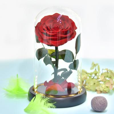 China Ammy Rose Flower Glass Cover Sky Essential Gift Home Decoration Starry Holiday Lighting Weddings for sale