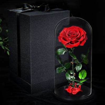 China Weddings Decoration Ammy Preserved Flower Rose Little Prince Red Eternal Flower With Glass Cover For Gift for sale