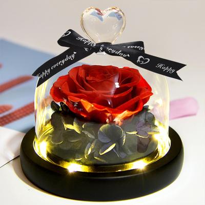 China Weddings Ammy Decoration Led Light Eternal Creative Gift Mother's Day Preseved Rose Flower Glass Dome for sale