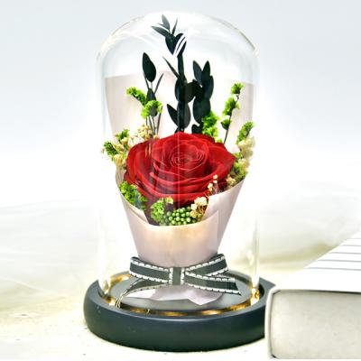 China Natural And Fresh Rose Of Preserved Flower With Weddings Ammy Glass Decoration Cover And Gift Box Packing for sale