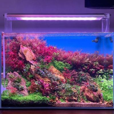 China APP control Chinese led aquarium light supplier weekaqua M series M450 APP control pro led fish lights for aquatics nano tank for sale