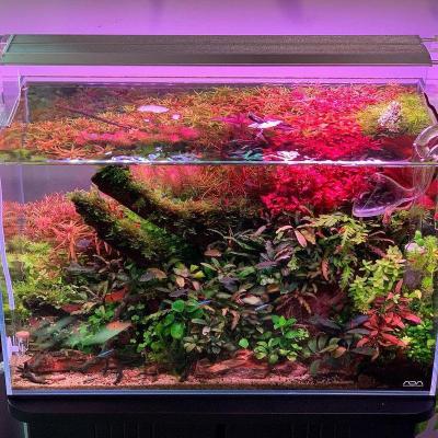 China APP control Chinese led aquarium light supplier weekaqua M series M450 APP control pro led fish lights for aquatics nano tank for sale