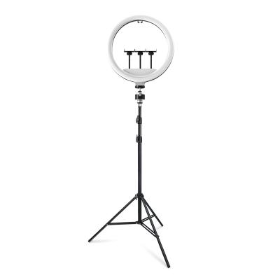 China PORTABLE LED Ring Light with Tiktok Ring Light 10inch 14 inch Dimmable Tripod Stand 18 inch RGB color changing led ring for sale