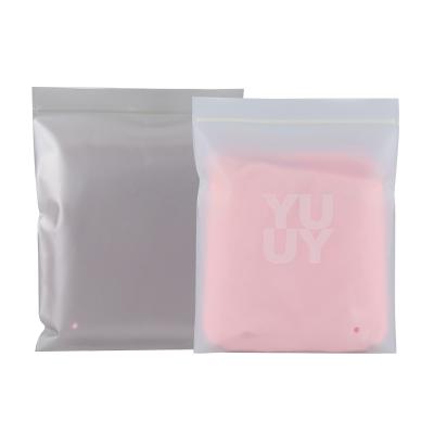 China Logo Self Sealing Compostable Custom Ziplock Compostable Bags Clothing Packaging Bag For Food for sale