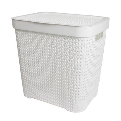 China Occasional Cost Effective Portable Hollow Laundry Other Storage Basket for sale