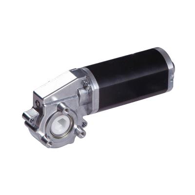 China Customer Needs F45ZY-23JW Furniture Elevator Gear Motor Desk Lift Motor for sale