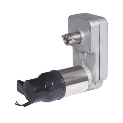 China Totally Enclosed DC Tail Gear Heavy Duty Truck Tarpaulin Parallel Motor DZ84ZYC07B for sale