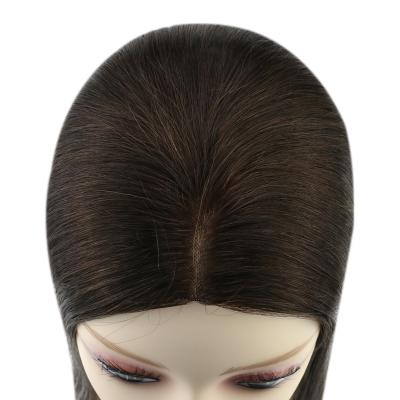 China Topper Hair Silk Hair Topper For Women 13*13 #2 Brown Darkest Full Shine Softest Wholesale Best Quality for sale