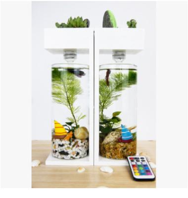 China New Viable Creative Desktop Home Office Aquarium Ecological Fish Tank for sale