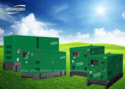 China Electric Starting Gas Generator Sets , Natural Gas Home Generators for sale