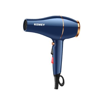 China Other Wholesale Professional 1400W Dual Tone Salon Hot and Cold Automatic Thermostat Hair Dryer for sale