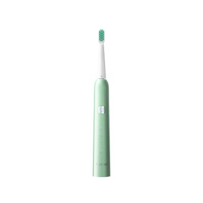 China New Sonic Vibration Waterproof Daily Electric Toothbrush Kemei Km-Ys713 Send To Wall Hanger Radio Rechargeable Toothbrush for sale