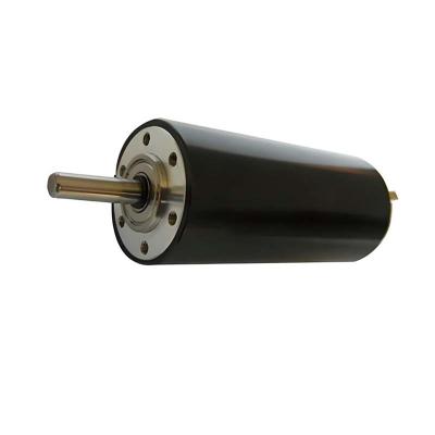 China High Precision Brushed DC Motor 73 Watt 7760rpm 30mm 48V Electric DC Motor for Automotive for sale