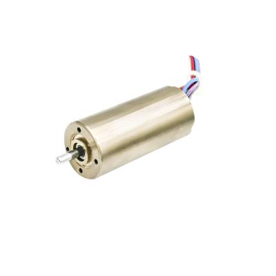 China 16mm Sensorless Brushless Motor Slotless Motor24V 10W 20W 18900rpm Customizable for sale