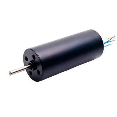 Китай 20 мм безрешечный BLDC двигатель 12V до 36V 13W 20W 18880rpm Настраиваемый безрукавный постоянный электрический двигатель продается