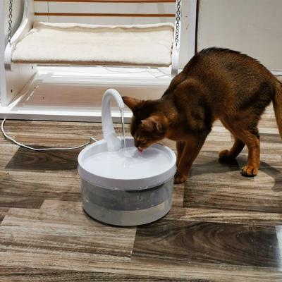 China Sustainable Blue Lightweight USB Operated Smart Water Fountain Pet Water Fountain Automatic Water Dispenser For Pet for sale