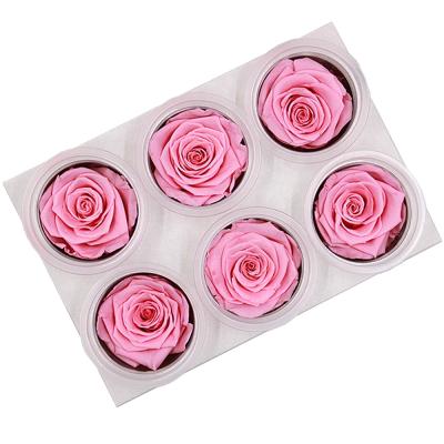 China Valentine's Gift FL1010 Grade B 6 Packs Preserved Flower Rose Wholesale Preserved Immortal Preserved Rose Gift for sale