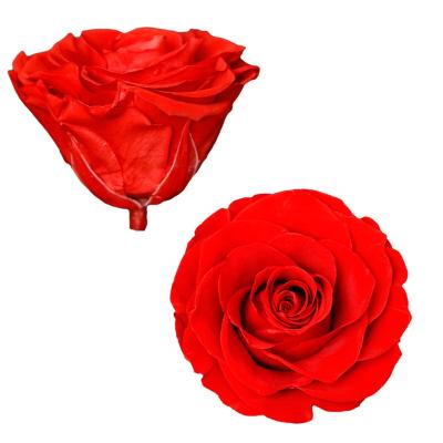 China Valentine's Gift FL1015 Preserved Rose Flower Grade Immortal - 7-8cm Real Rose One Rose Head Valentine's Day Gift Wholesale for sale