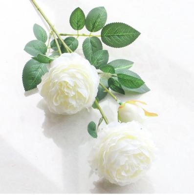 China Beautiful Colorful Artificial Flower FL2001 3 Heads Peonies Wholesale Silk Artificial Flowers For Single Peony Wedding Home Decor Real Touch Decorative Flower for sale