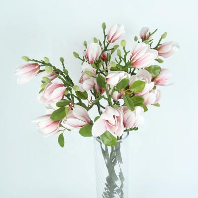 China Hot Selling Natural Plastic Magnolias Artificial Flowers Touch FL5005 Amazon Small Artificial Silk Decorative Magnolias Flower for sale