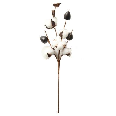 China DF1003 Touch Factory Bulk Sale Christmas Decoration Natural Flower Dried Cotton Flower For Flower Arrangement for sale