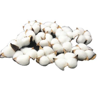 China DF1001 Touch Factory Bulk Sale Christmas Decoration Natural Flower Dried Cotton Flower For Flower Arrangement for sale