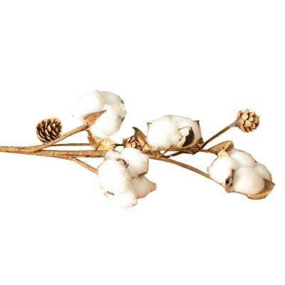 China DF1005 Touch Factory Bulk Sale Christmas Decoration Natural Flower Dried Cotton Flower For Flower Arrangement for sale