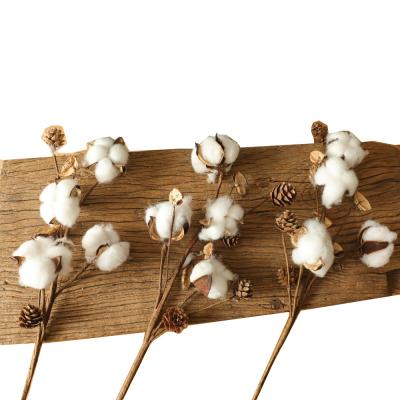 China DF1005 Natural Wholesale Cheap Dried Single Stem Dried Cotton Flower Touch Cotton Flower As Decoration Flower for sale