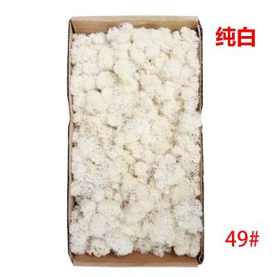 China Wholesale Real Touch MS1002 Natural Colorful Decorative Preserved Natural Fresh Moss For Art DIY Home Decoration for sale