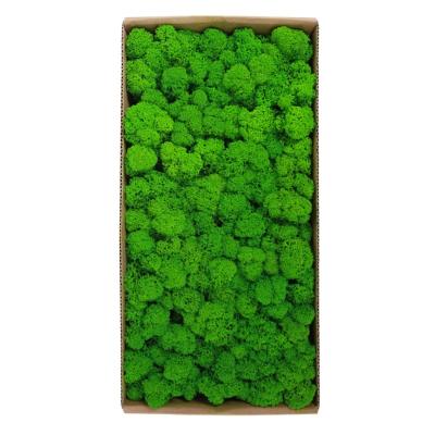 China MS1002 Real Touch Lichen DIY Natural Materials Indoor Natural Green Decorative Moss Wall Preserved Moss for sale