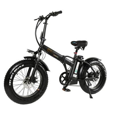 China Free shipping Foldable 2 seat e-bike 750W e-bike lithium battery electric bicycle 48V city aluminum alloy foldable bike 5 speed for sale