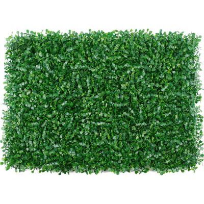 China 40 x 60 cm Boxwood Hedge Plastic Artificial Grass Wall Panel Milan Artificial Grass Backdrop for Outdoor Garden Wall Decoration for sale