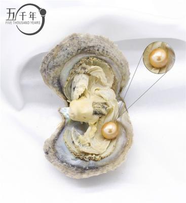 China Freshwater pearl Edison pearl 9-13mm AAAA grade colorful akoya oyster seawater 1 pearl in per akoya oyster with vacuum packed for sale