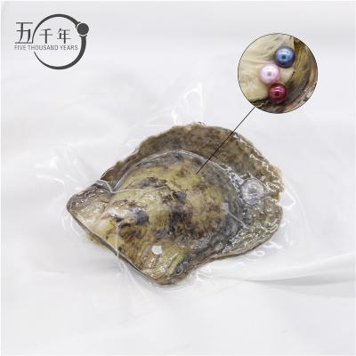 China Wholesale 6-8mm AAAA Round Freshwater Colorful Grade Pearl Akoya Oyster Triplet Pearl In Per Akoya Oyster With Vacuum Packed for sale