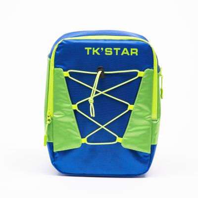 China Large Waterproof Portable Insulated Thermal Backpack Cooler Bag Backpack for Travel Picnic Camping Hiking for sale