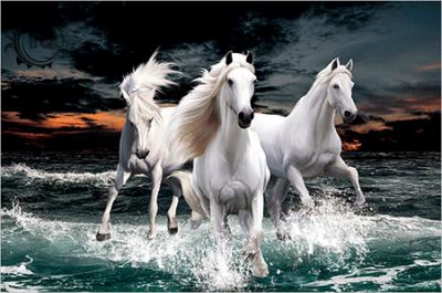 China Europe 3d Pictures New Design 3d Picture Hot Selling Horse for sale