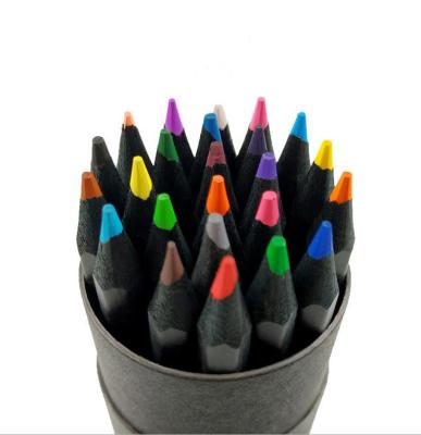 China Eco-Friendly Pencil 12 Colors HB Pencils Set In Paper Tube Artisto Drawing Sketching Pencil Art Set Perfect For Beginners Kids Or Any Aspiring Artis for sale